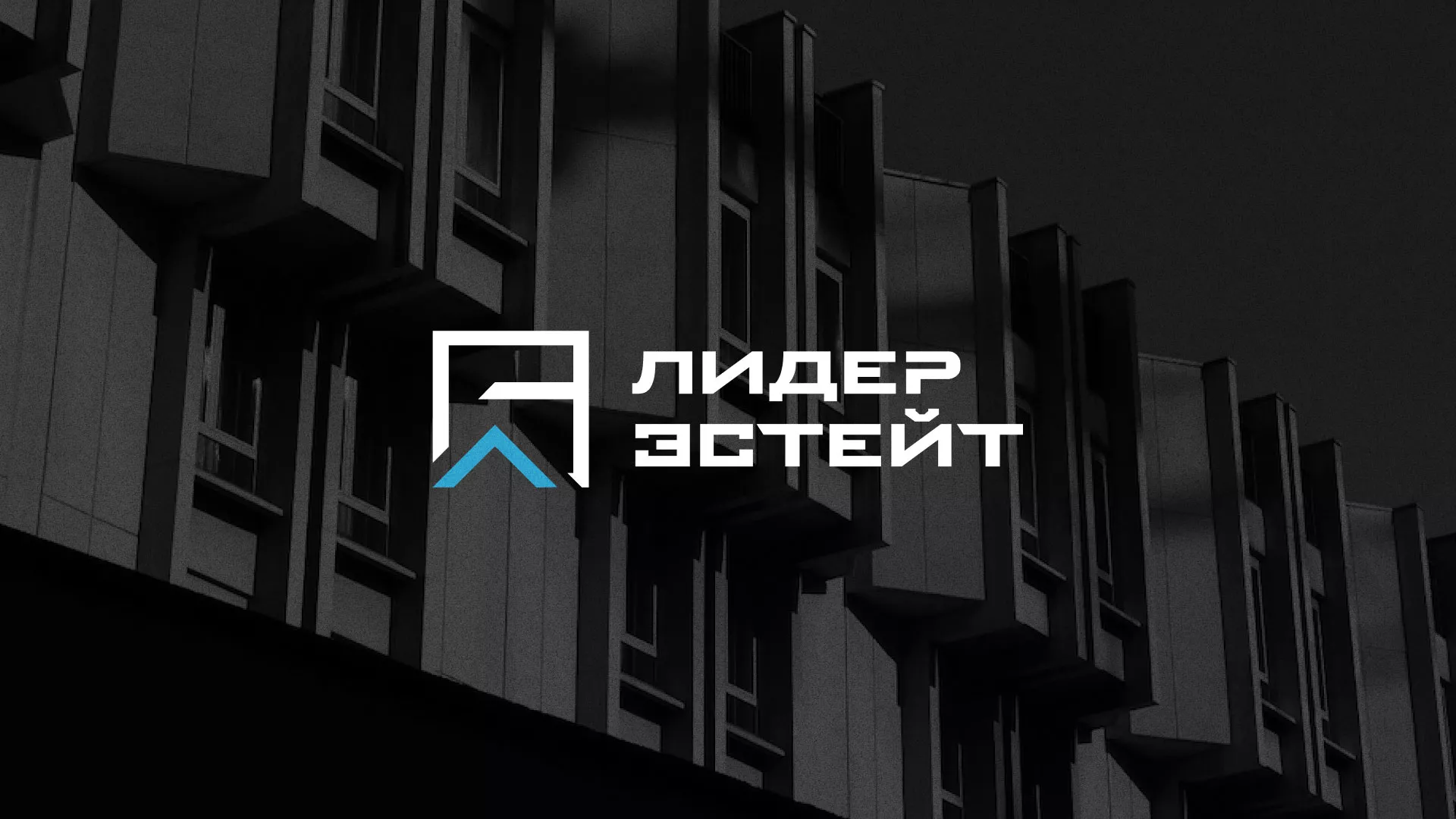 Разработка логотипа агентства недвижимости «Лидер Эстейт» в Старом Осколе