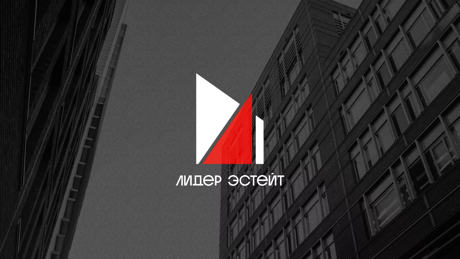 Сделали логотип для агентства недвижимости «Лидер Эстейт» в Старом Осколе